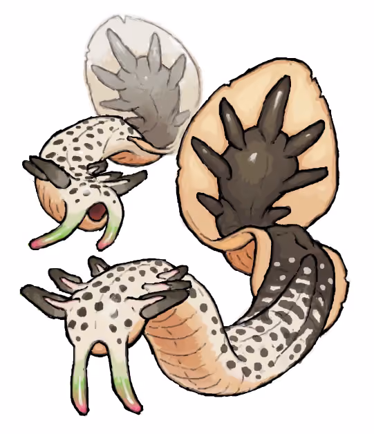 VARTH